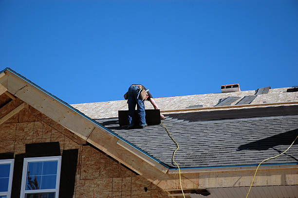 Best Roof Gutter Cleaning  in Jackson, MS
